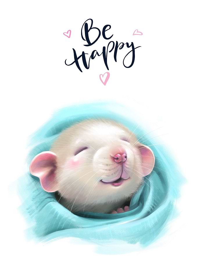 Funny mouse