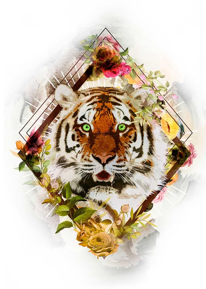 Tigre
