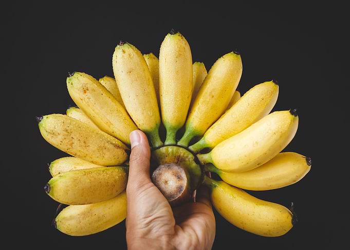 Fresh bananas