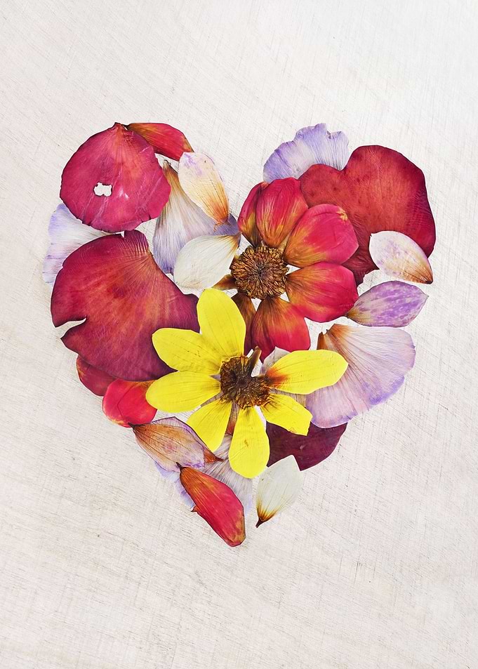 Dried flowers