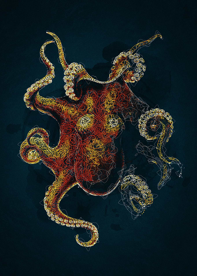 Octopus