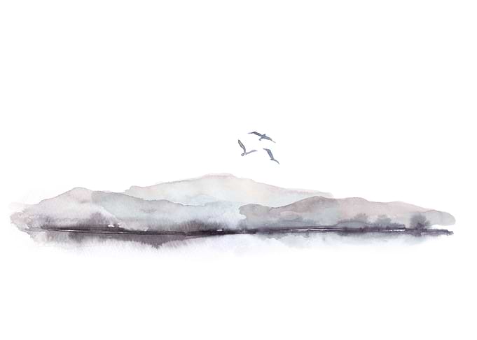 Flying Birds At Dawn
