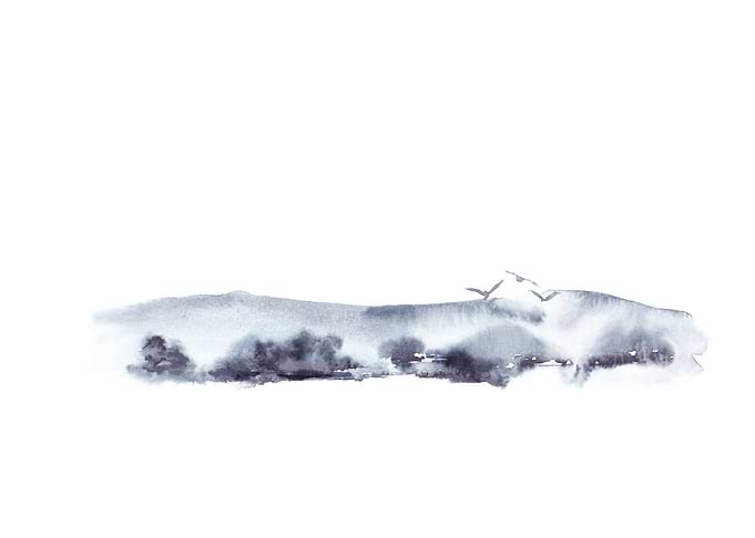 Flight of Birds
