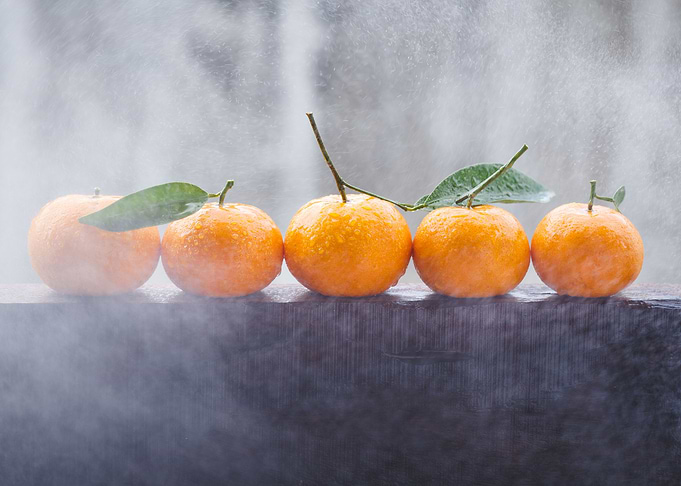 Fresh mandarins