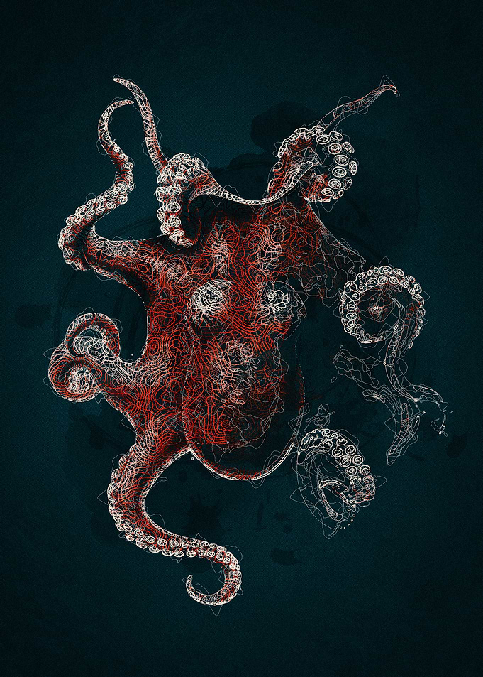 Octopus