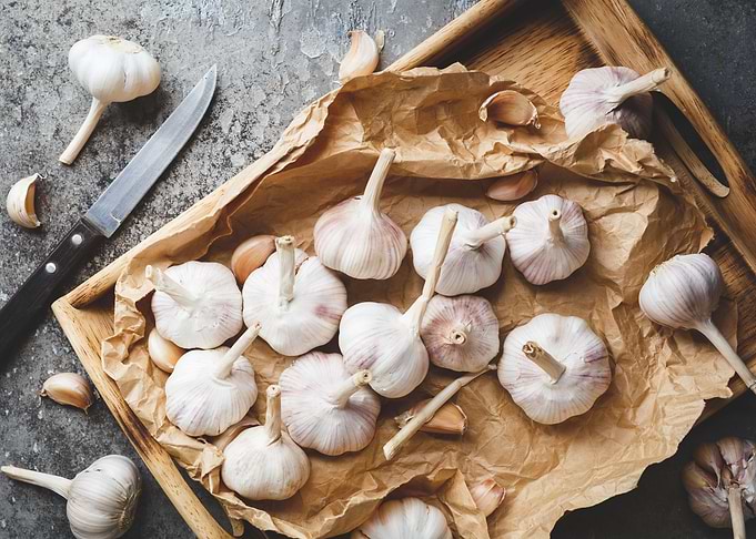 Garlic bulbs