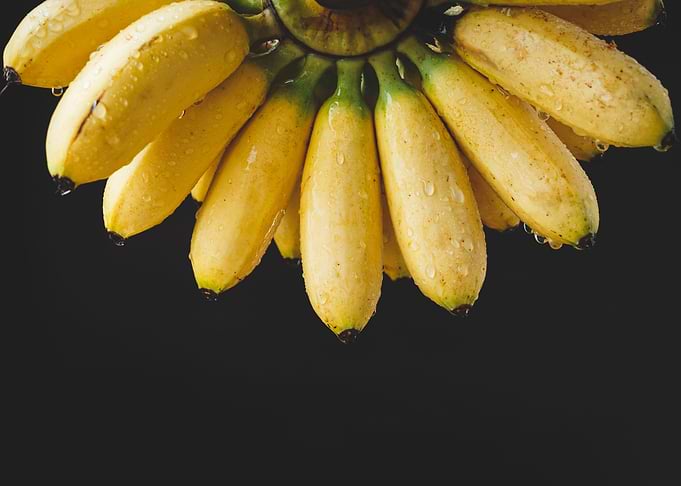 Fresh bananas