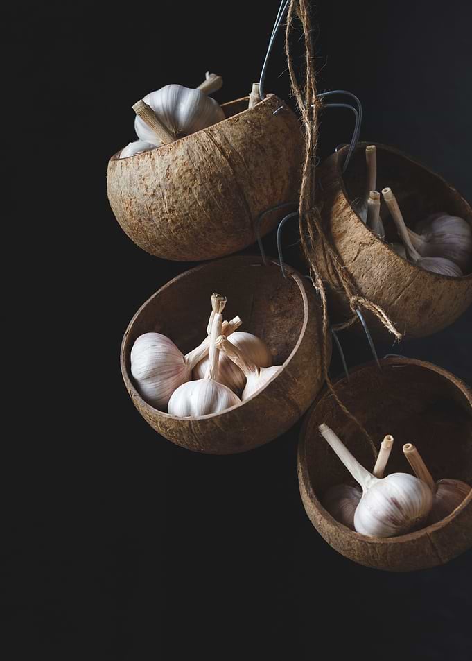 Garlic bulbs