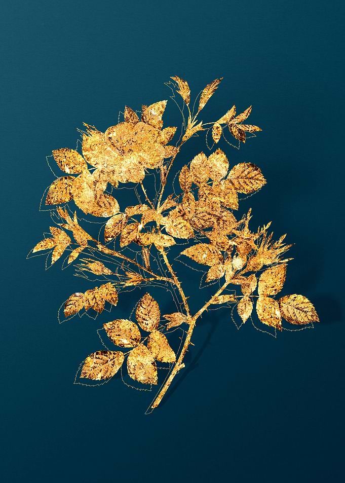 Gold Floral on Teal