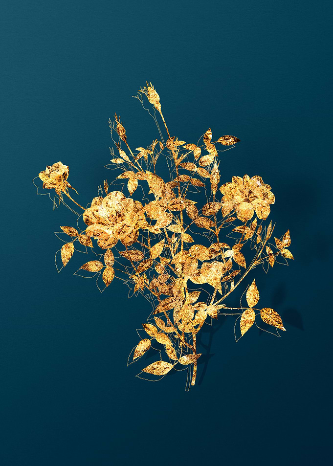 Gold Flowers on Teal
