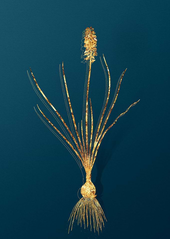 Gold Antique Botanicals
