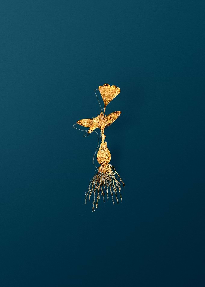 Gold Flower on Teal Blue