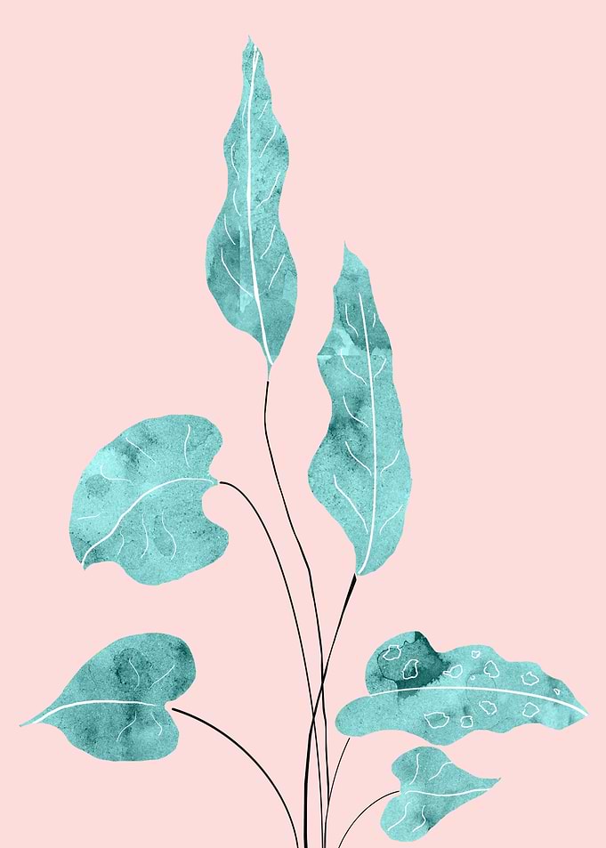 Tropical Leaves Finesse 2
