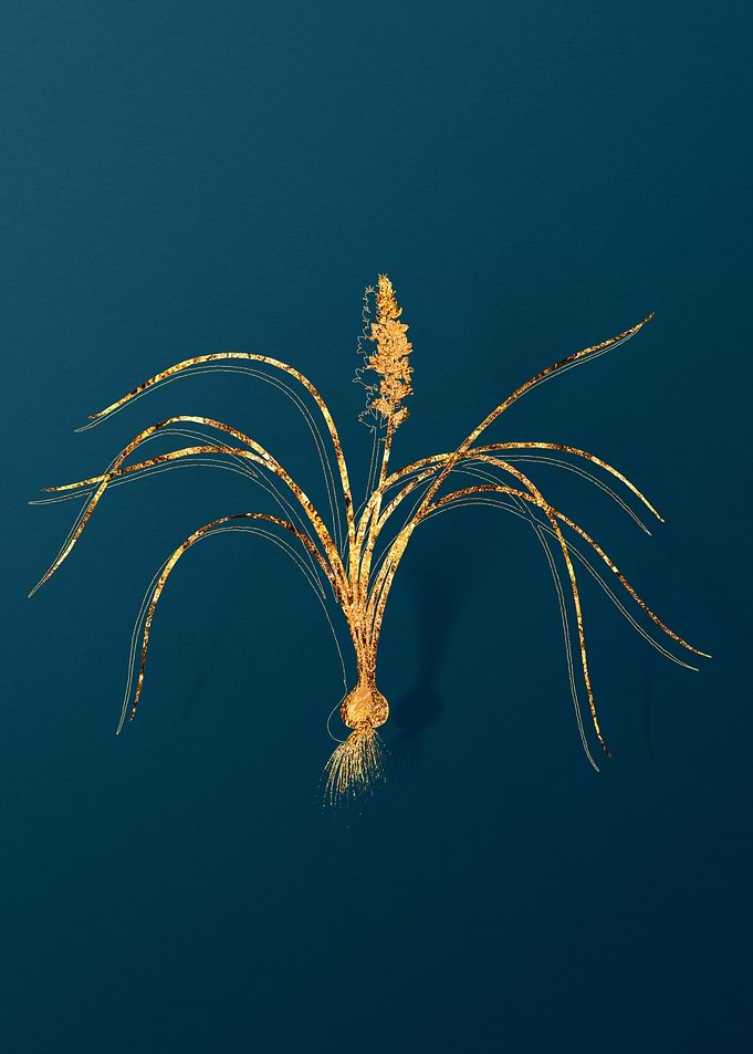 Gold Floral Illustration