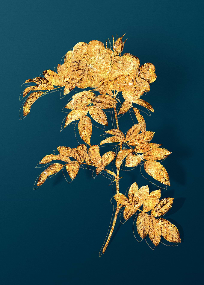 Gold Flower on Teal