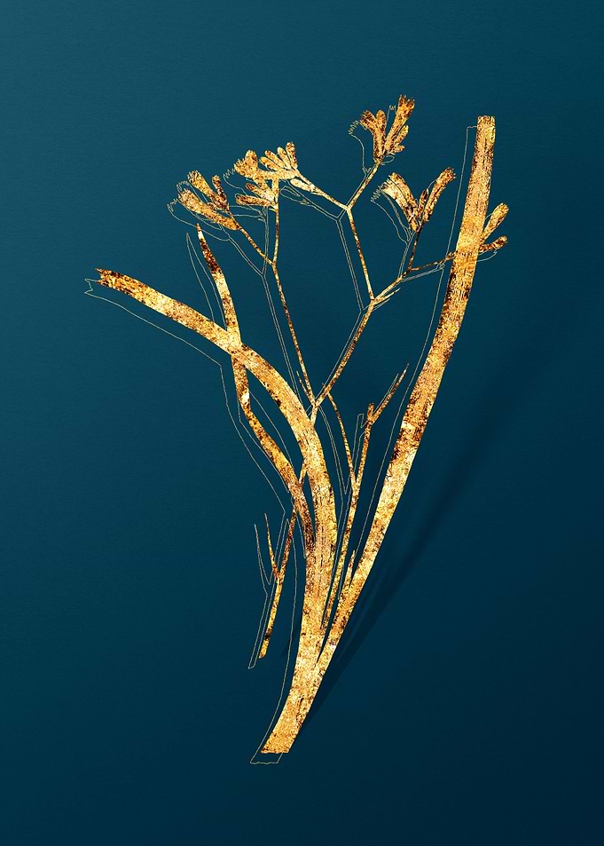 Gold Botanical on Teal