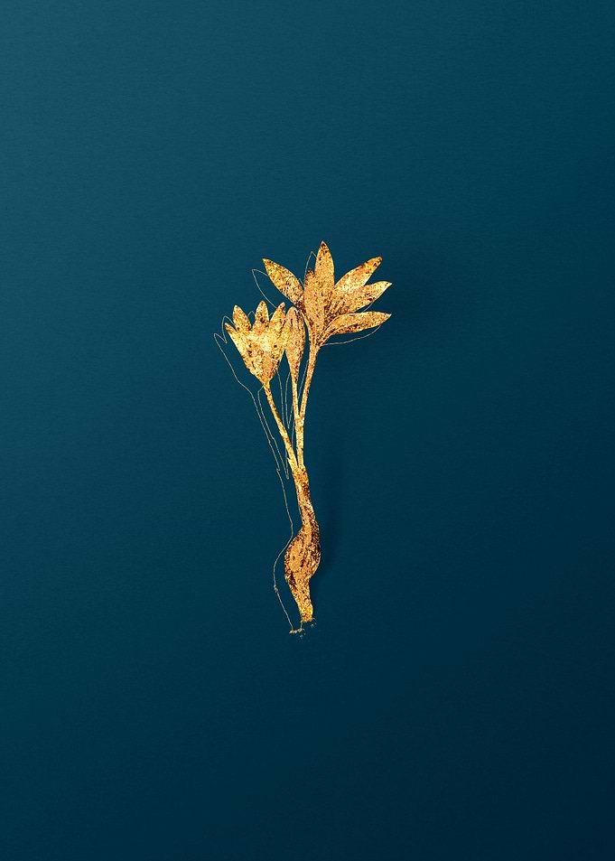 Gold Botanicals on Teal