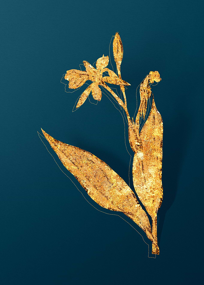 Gold Botanicals on Teal