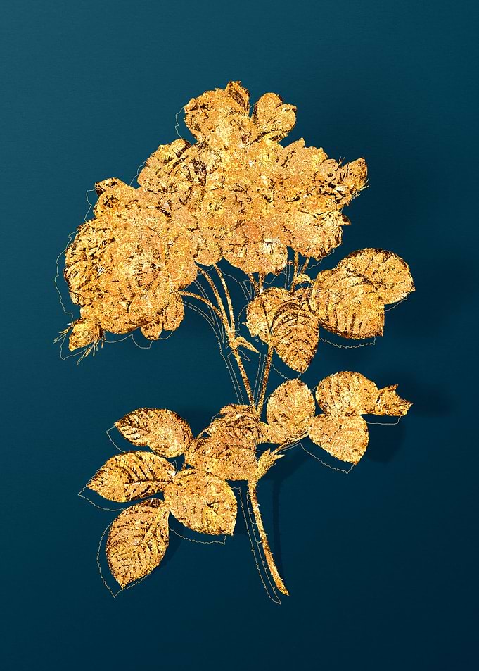 Vintage Flower Drawing