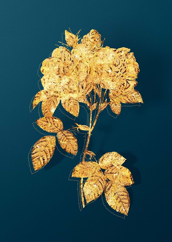 Vintage Botanical Drawing