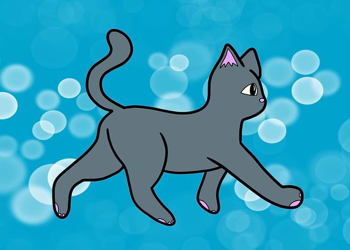Strolling Kat