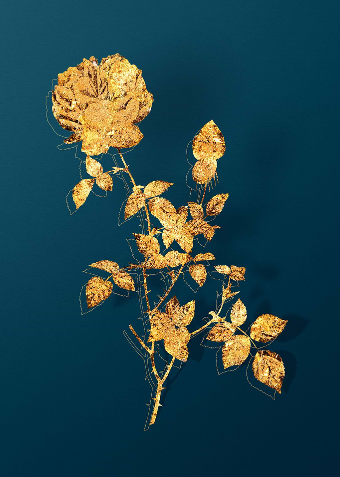 Gold Vintage Drawing Teal
