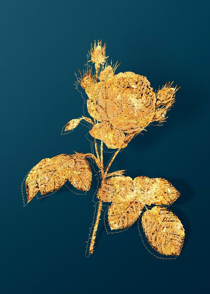 Vintage Flower Drawing