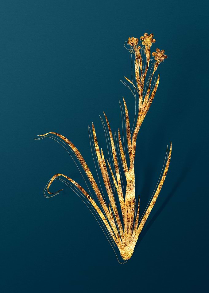 Gold Flower on Teal