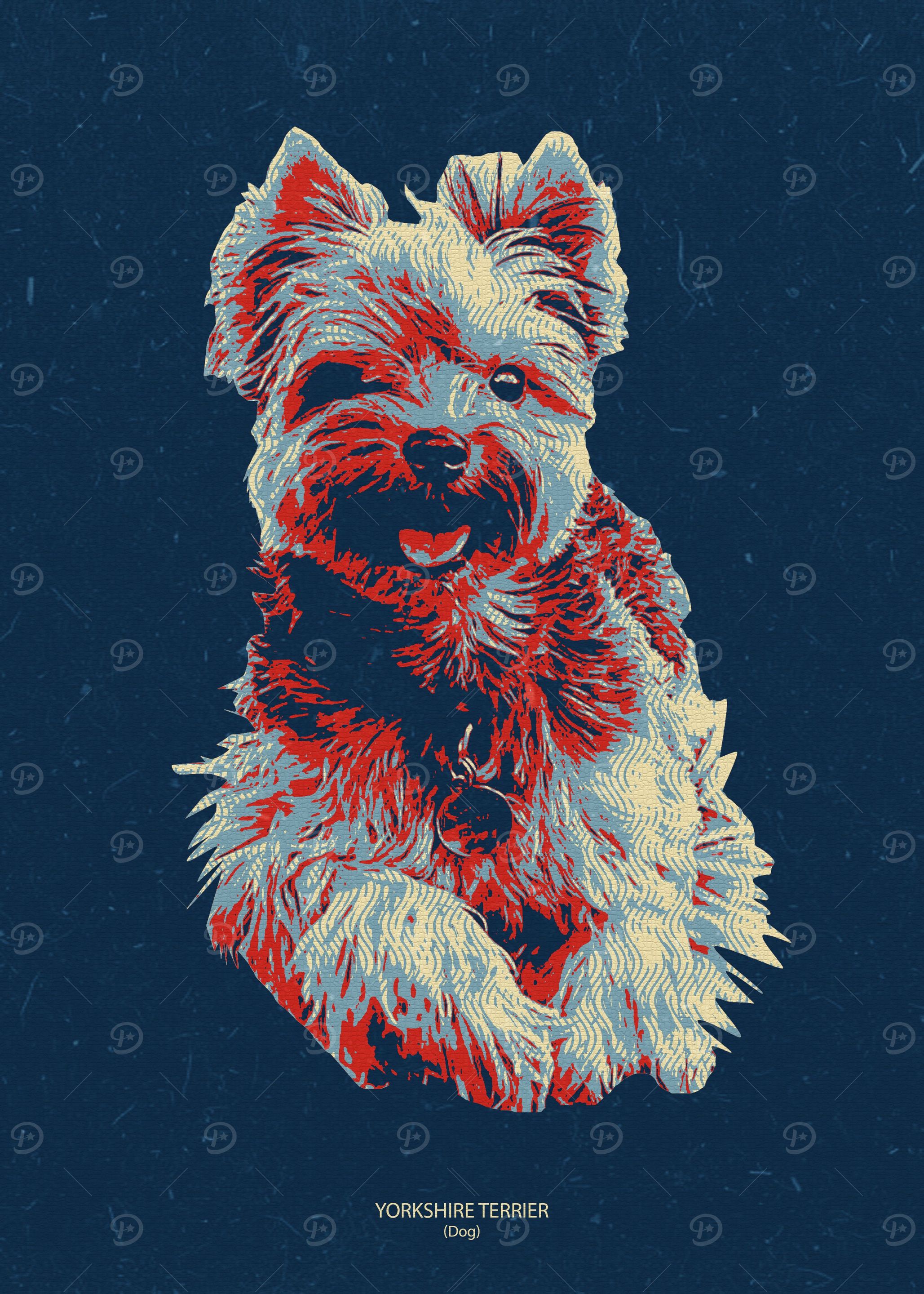 Yorkshire Terrier