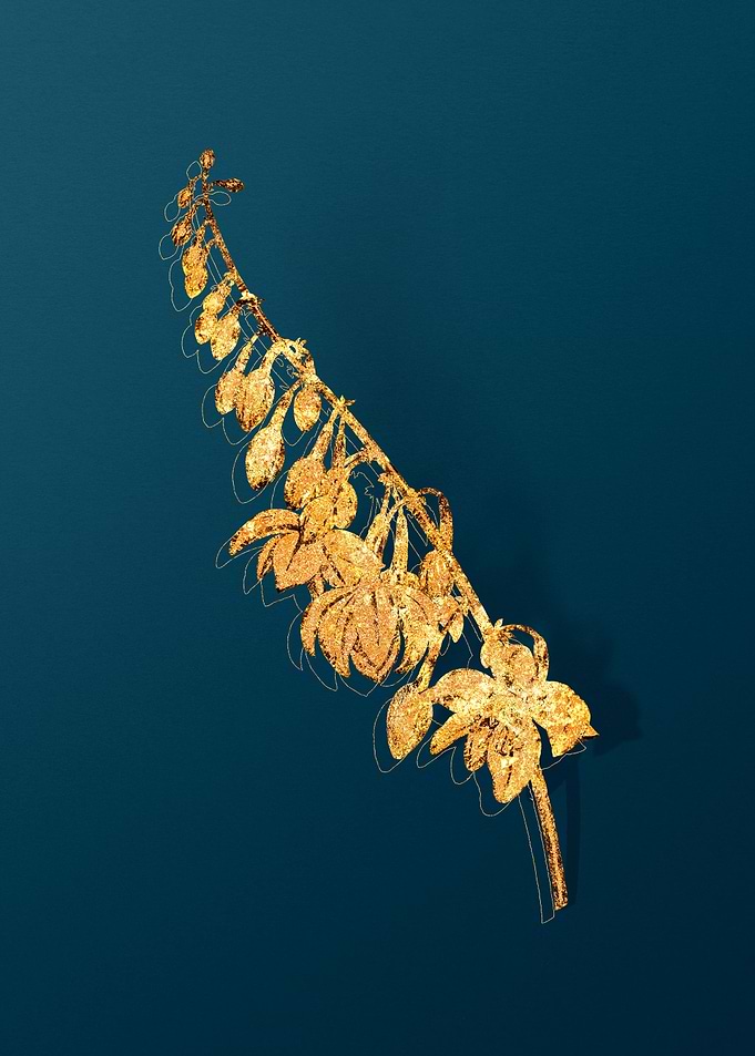 Gold Antique Flowers Teal