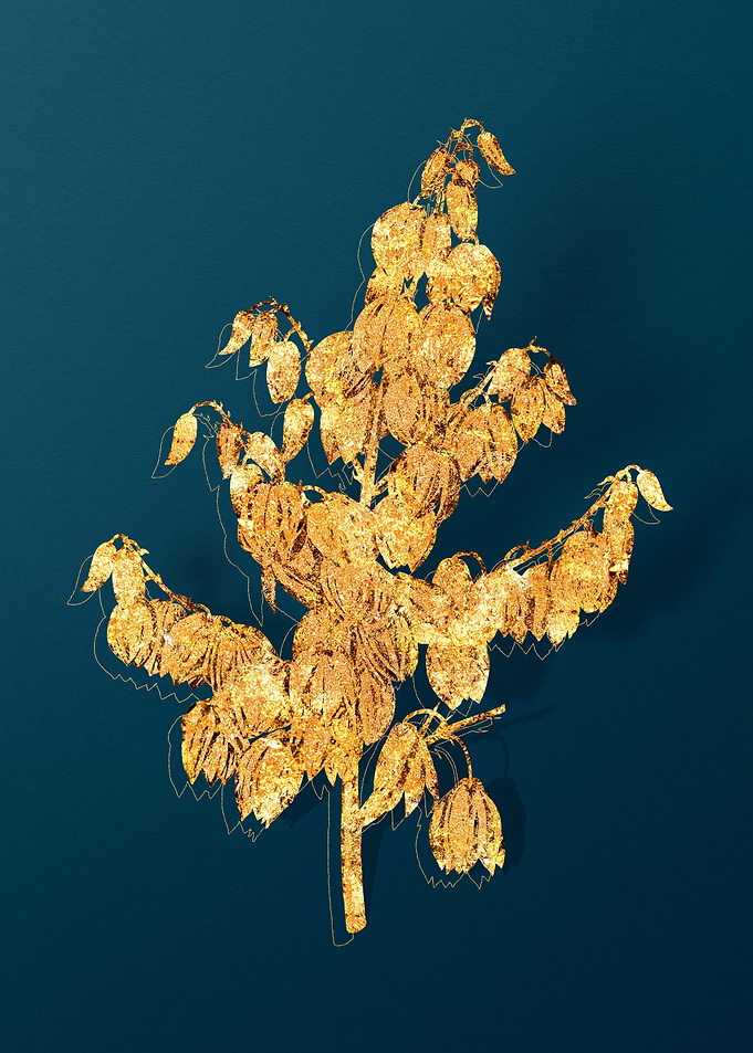 Gold Botanical on Teal