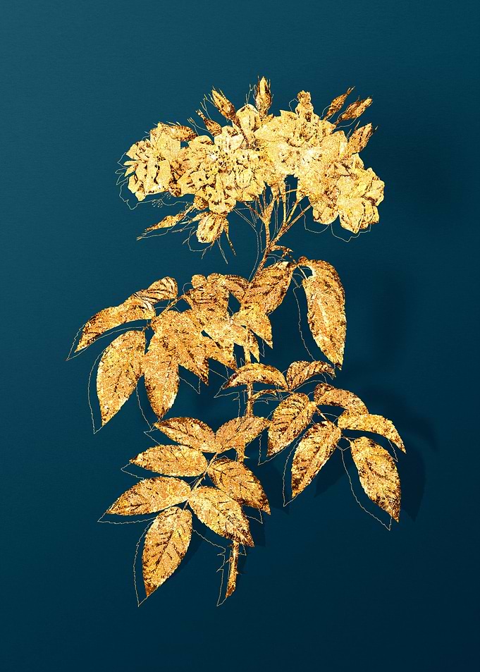 Gold Floral on Teal