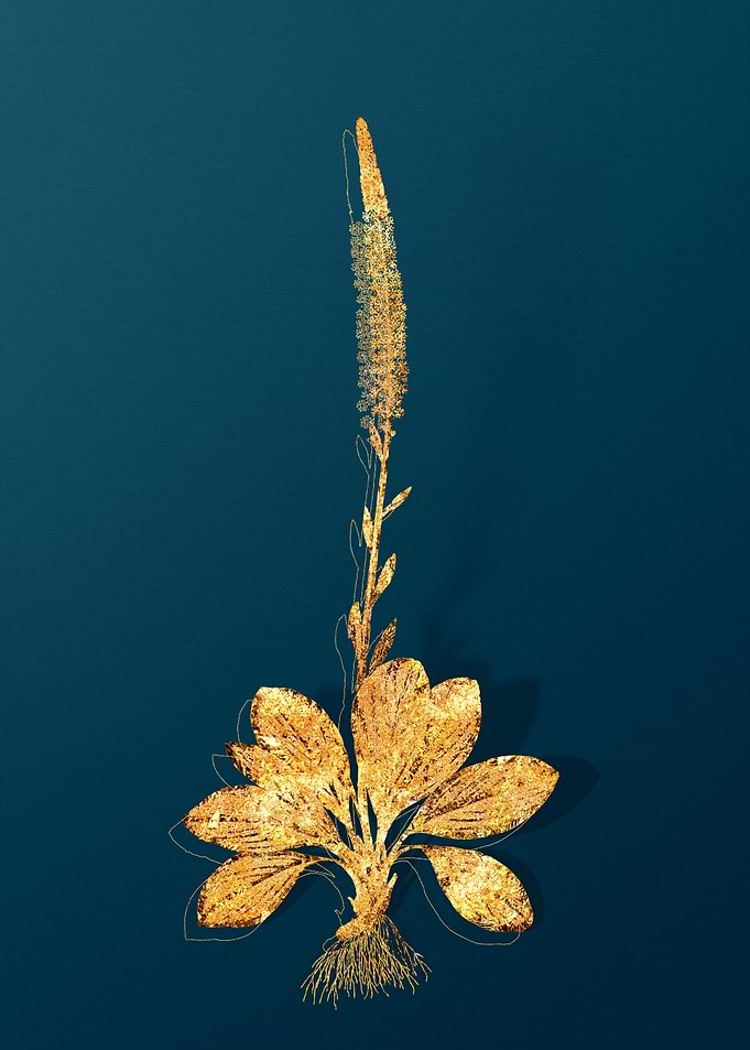 Gold Flower on Teal