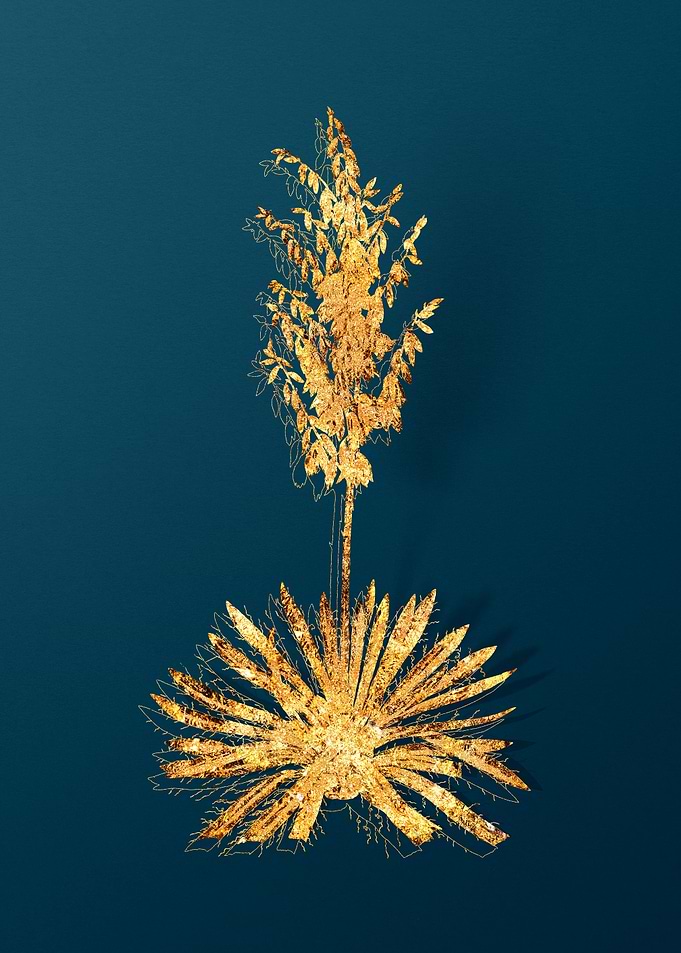 Gold Botanical on Teal