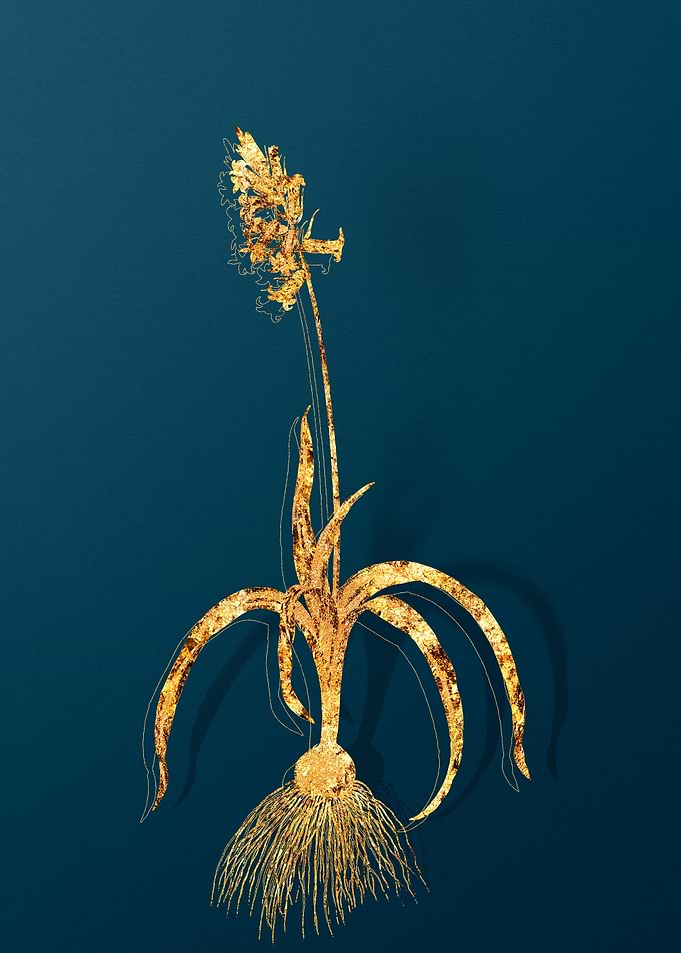 Gold Vintage Flowers Teal