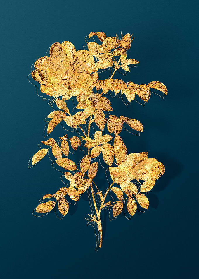 Gold Floral Illustration