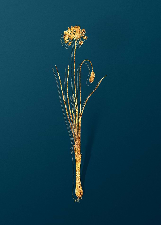 Gold Botanicals on Teal