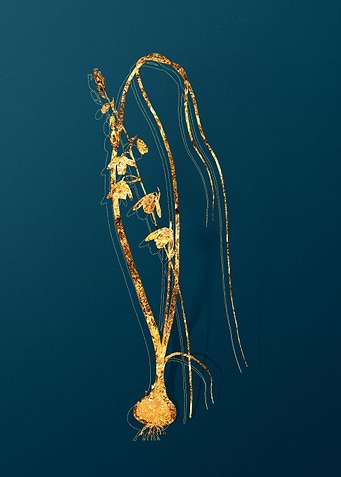 Gold Botanical on Teal