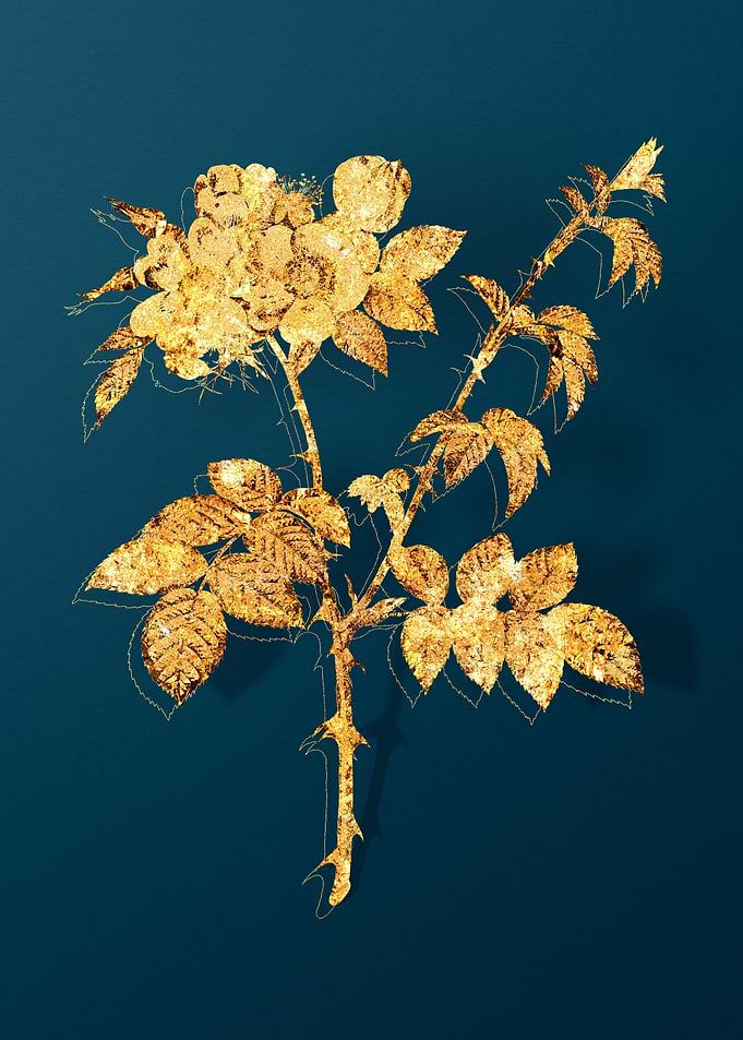Gold and Teal Drawing