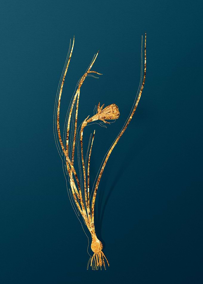Gold Vintage Floral Teal