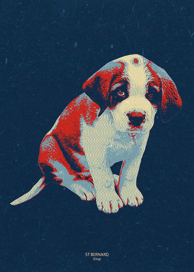 St Bernard