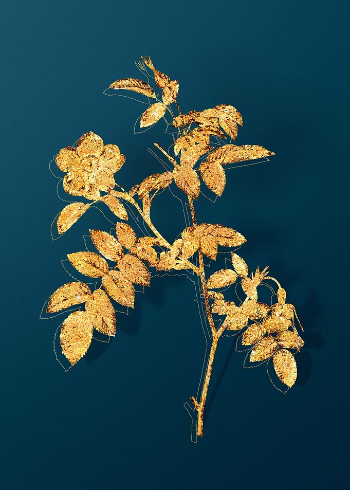 Gold Vintage Drawing Teal