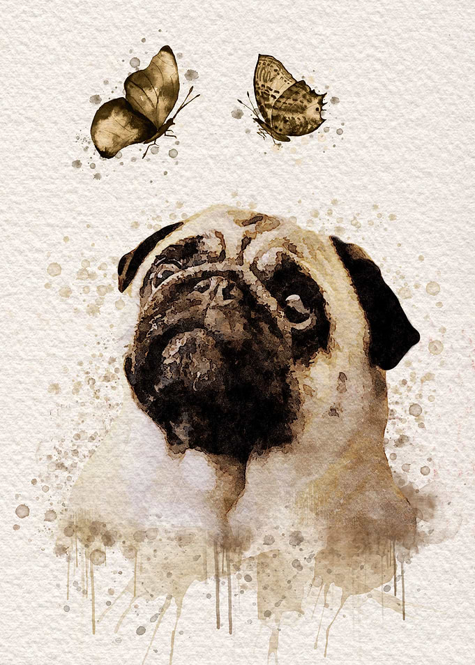 Pug Butterfly Watercolor