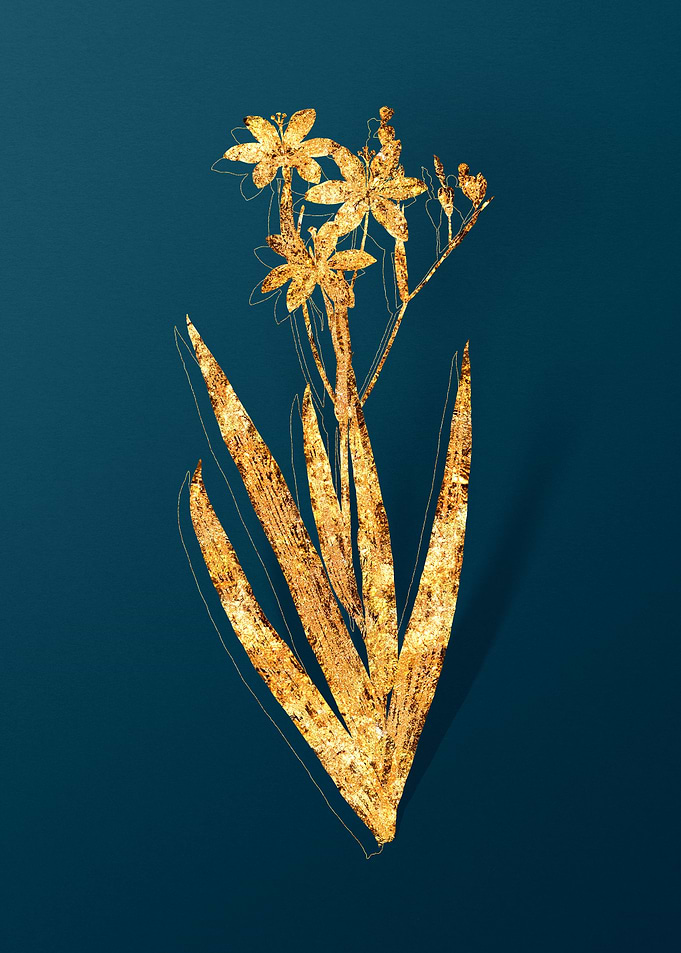 Gold Flower on Teal