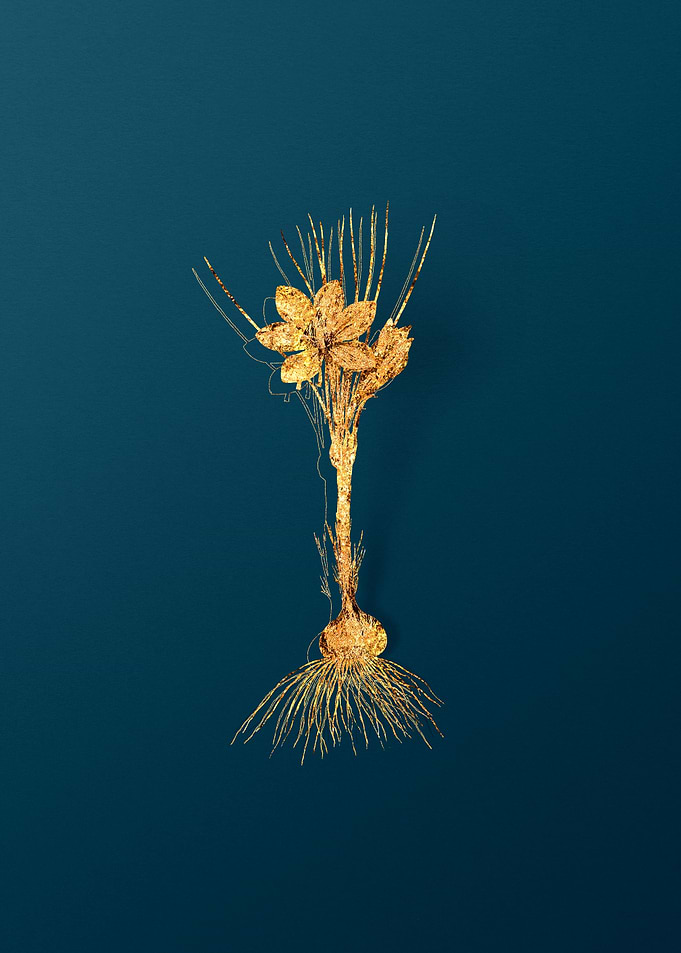 Gold Vintage Floral Teal