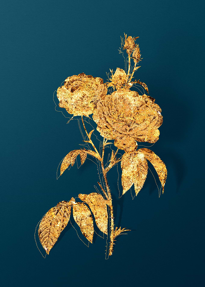 Gold Florals on Teal