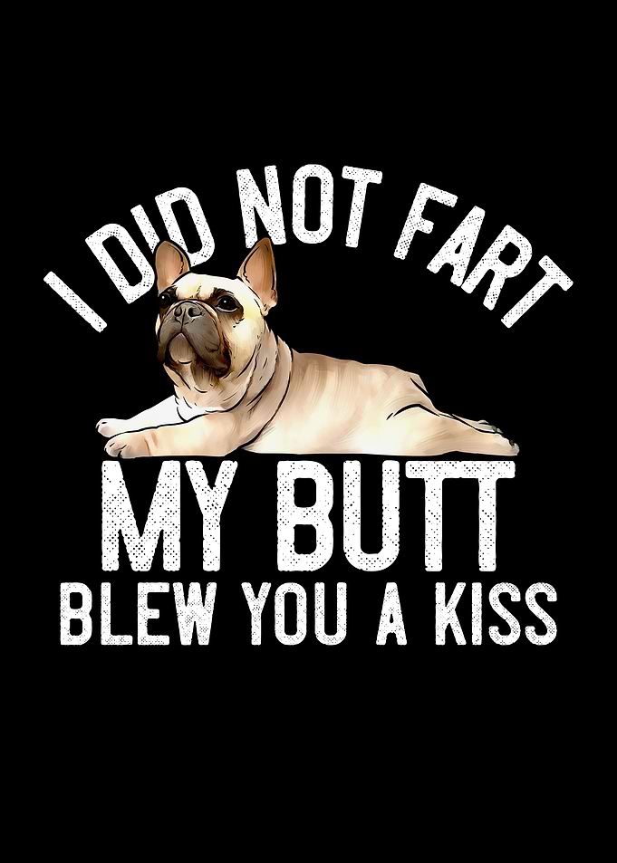 French Bulldog Frenchie