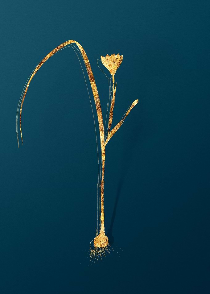 Gold Flower on Teal Blue