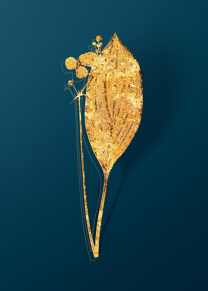 Gold Flower on Teal Blue