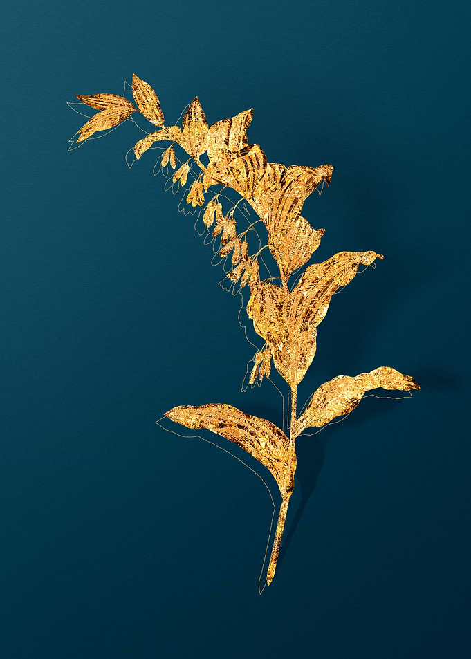 Vintage Plant Illustration